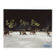"The Perfection Line" Bergeron, Marchand and Pastrnak Signed / Autographed 2021 Lake Tahoe Night Photo 8x10 Image coming soon src=